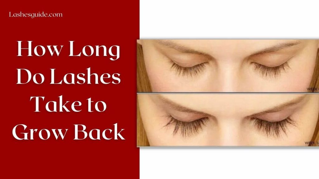 How Long Do Lashes Take to Grow Back? - Lashes Guide