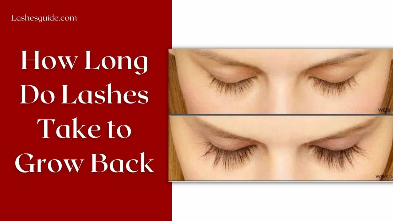 How Long Do Lashes Take to Grow Back